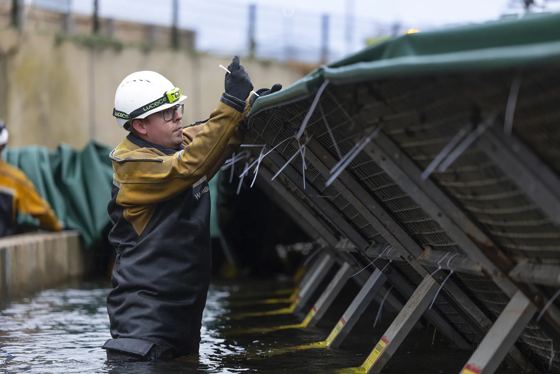 Engineer securing the membrane to a frame dam during installation.
