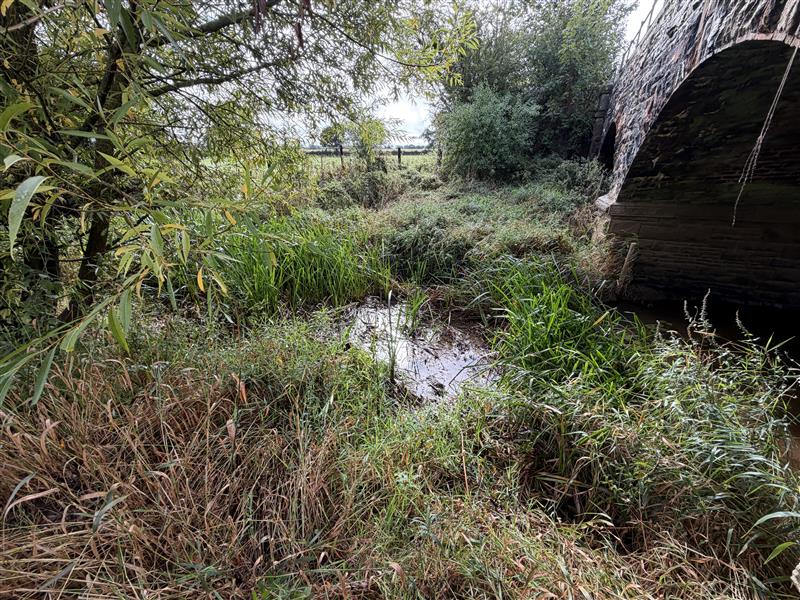 Eroded riverbank showing scour and bank degradation at River Laden before works