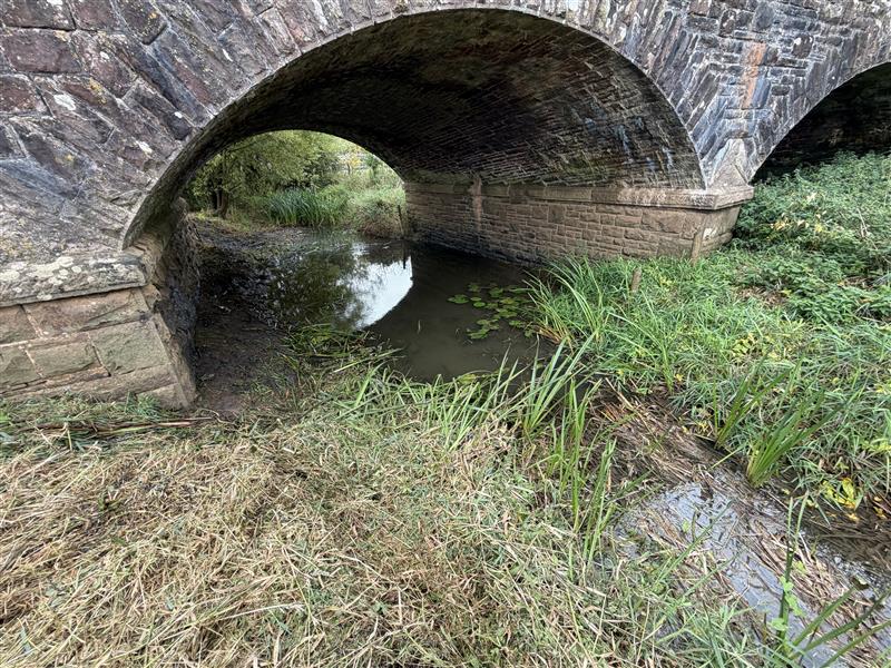 Eroded riverbank showing scour and bank degradation at River Laden before works