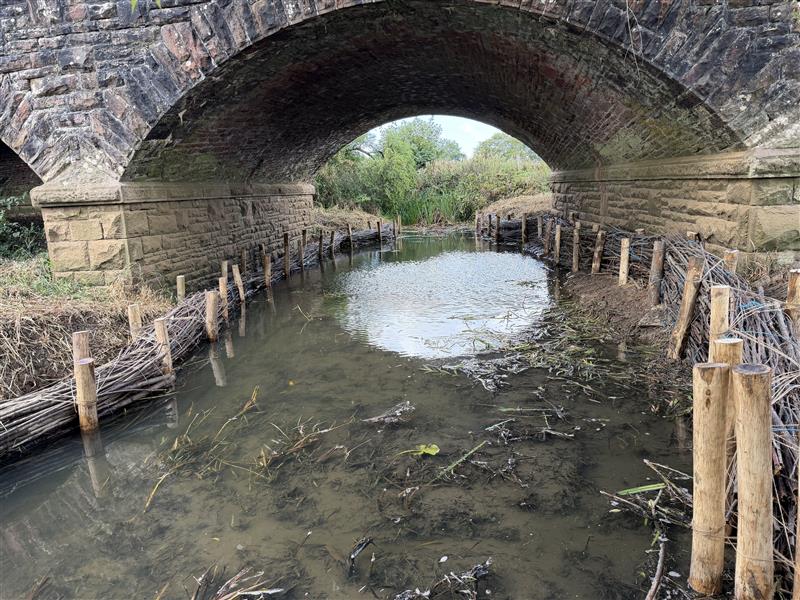 Riverbank stabilisation and scour protection using timber posts and brushwood fascines at River Laden